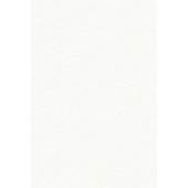 Merino Plastic Laminate 22141 SF
