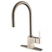 Bluwave Kitchen faucet  2070851