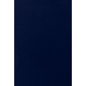 Merino Plastic Laminate 21222 SF