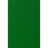 Merino Plastic Laminate 21243 SF
