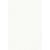 Merino Plastic Laminate 22141 SF