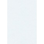 Merino Plastic Laminate 22381 GL