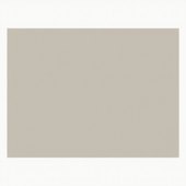 Merino Plastic Laminate 10043 SF